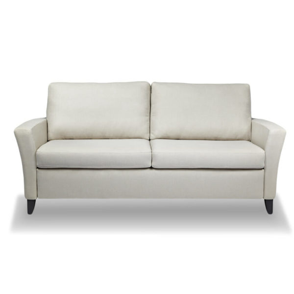 Contemporary Leather Sleeper Sofa